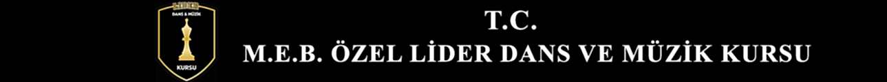 Lider Sanat Logo